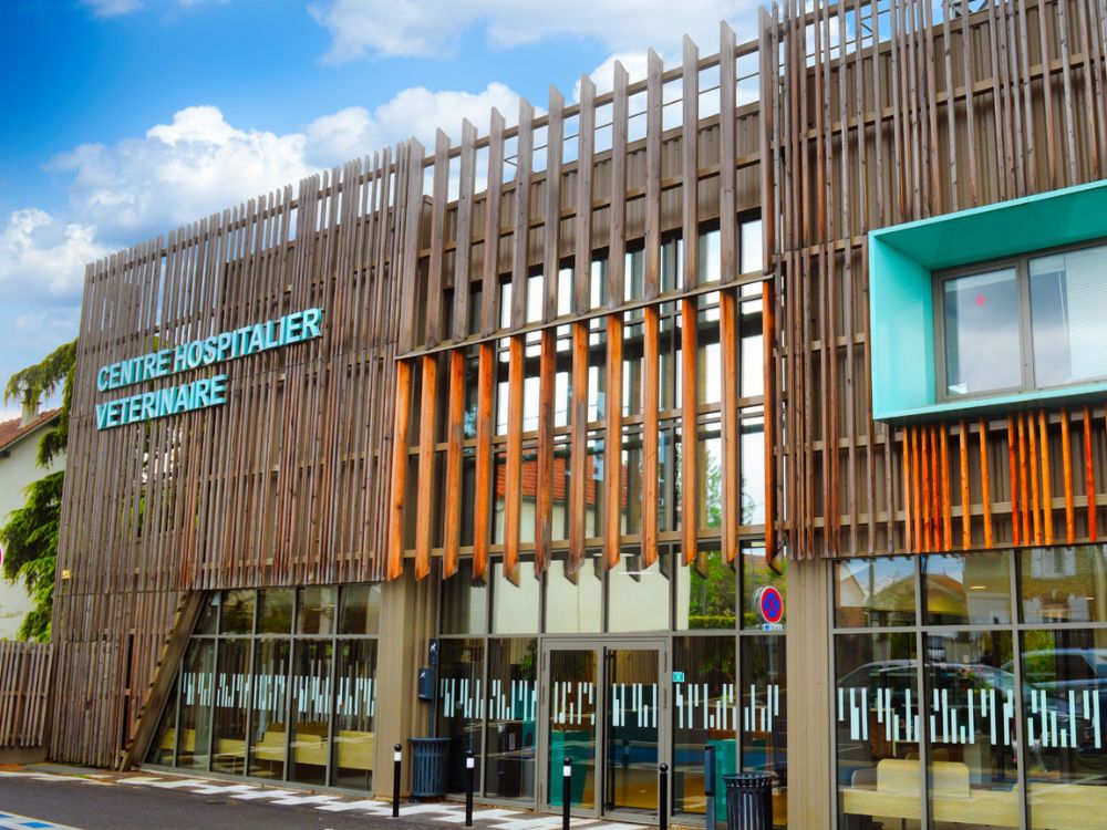 strategie communication 360 combiz centre hospitalier cordeliers